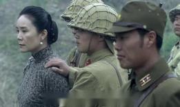 苍狼电视剧剧情介绍,烽火岁月里的英雄传奇