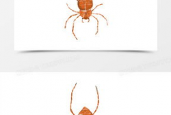 蜘蛛动漫,穿梭时空的奇幻冒险之旅