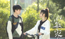 小敏家电视剧,温情岁月里的家庭故事